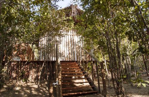 Porto de Pedras Other | Na Floresta Glamping