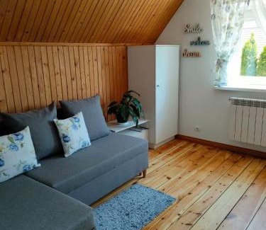 Trygort Apartment | Na poddaszu