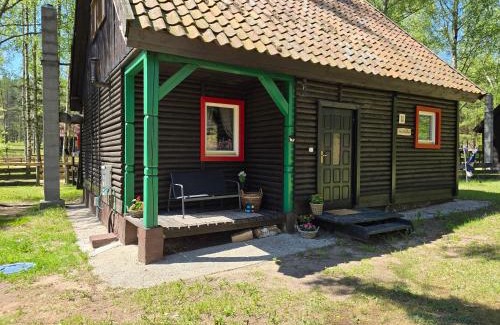 Gietrzwald House | Na Zboczu - Rodzinny Domek w Lesie na Mazurach z Basenem i Sauną