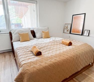 Tisovec Apartment | Nadštandardný apartmán s terasou