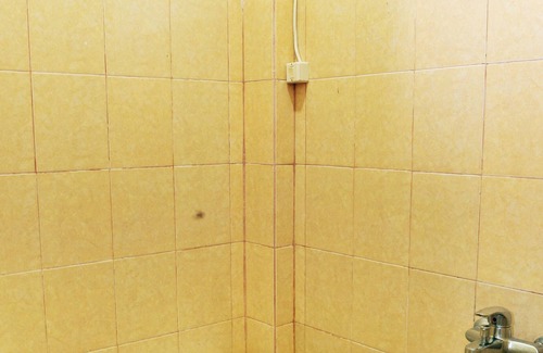 Mataram House | Nalaya Home