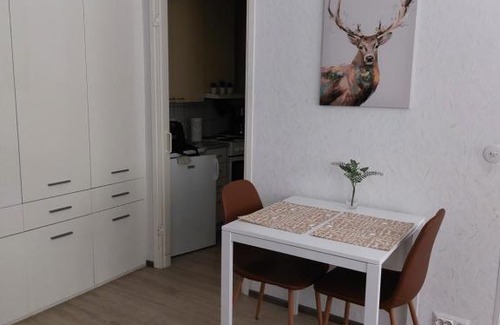 Virrat Apartment | Nallenkoto
