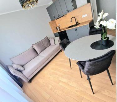 Plunge Apartment | Namų mūza "A" SELF CHECK IN