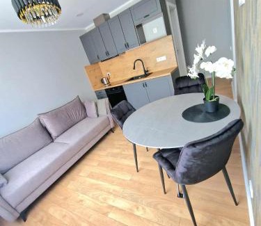 Plunge Apartment | Namų mūza "A" SELF CHECK IN