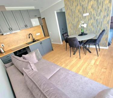 Plunge Apartment | Namų mūza "A" SELF CHECK IN