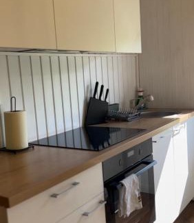 Kurtuvenai House | Namas su vaizdu į ežerą "Giliaus Nendrė"