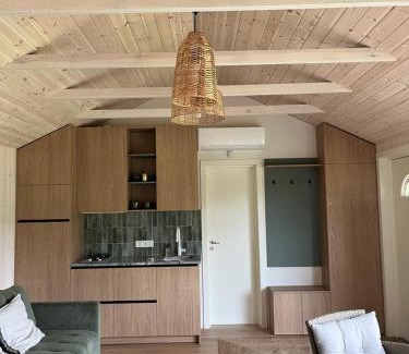 Gratiskes House | Namelis prie Čiobiškio kelto