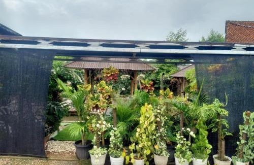 Rendeh Villa | Nanita Homestay