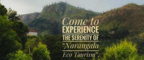 Kandaketiya Bed & Breakfast | Narangala mountain house 2