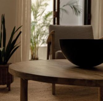 Zona Centro Apartment | Narrativ Lofts - Serena - Beautiful Colonial Suite