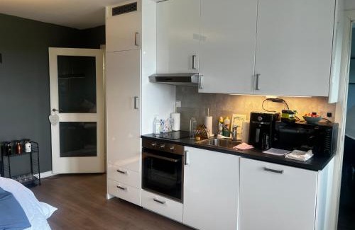 Oslo Apartment | Naskolini Top premium apartments