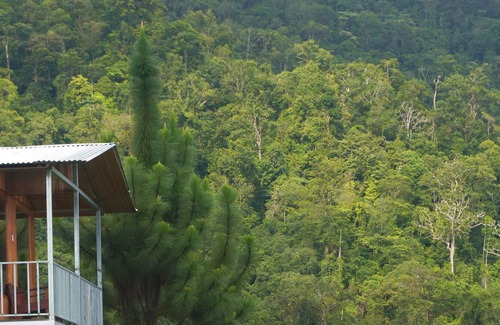 Baru Cabin | Native Baru : Morpho Cabin