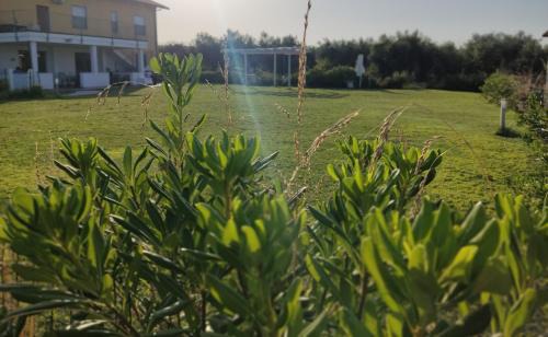 Vasto Bed & Breakfast | Natura e Mente Camere e Relax