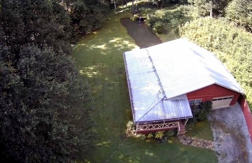 Rabun Gap Cabin | Natural Waterfall, Pond, and 2 1/2 acres of dog paradise!