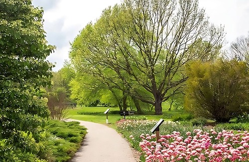 Lexington Resort | Nature Escape! Unit Near Attractions in GuestHouse Lexington, Parking, Pool!