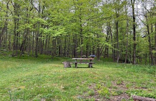 Poughquag Cabin | Nature lover's cabin on over 60 acres.