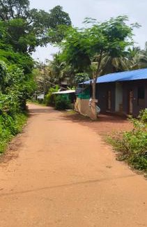 Gokarna Cabin | Nature Nest Rooms