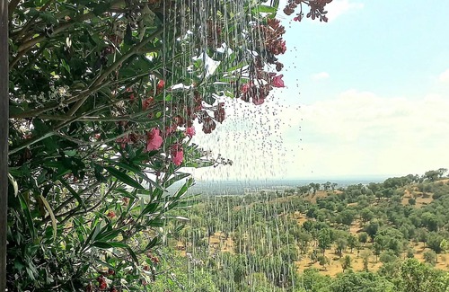 Cercal Cottage | Nature of well-being