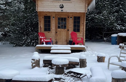 Langton Cabin | Nature Retreat | Cabin on 40 Acres, 15 Mins from Beaches