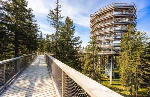 Pohorje Apartment | Nature Rogla retreat APT3