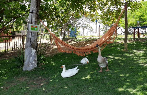 Paripueira Cottage | Nature View