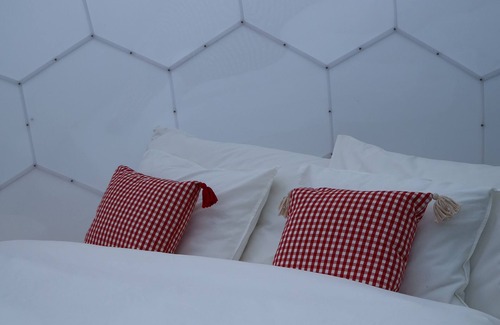 Davos RV Rental | Naturedome Glamping: Naturally luxurious