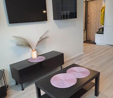 Siauliai Apartment | Naujai įrengtas jaukus dviejų kambarių butas
