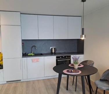 Siauliai Apartment | Naujai įrengtas jaukus dviejų kambarių butas