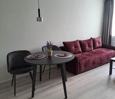 Siauliai Apartment | Naujai įrengtas jaukus dviejų kambarių butas