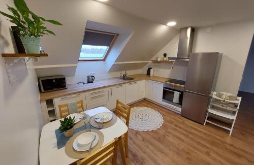 Voru County Apartment | Navi Apartment