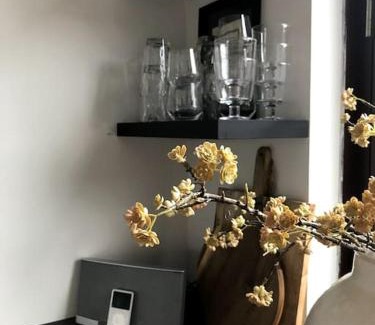 Hoofddorp Apartment | Near Amsterdam and airport, 90m2, privacy!