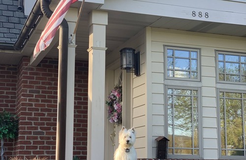State College House | Nearly 6000 sq ft of luxury living only 3 mi from PSU stadium