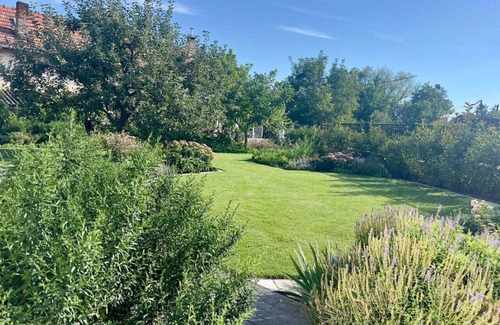 Csopak Apartment | Neon Apartment: Large Garden, Near Lake, Pet&Famil