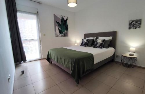 Carosse Apartment | Neptune Appart T3 avec Grande Terrasse et Parking Privé, Proche des Plages, Saint Gilles Les Bains