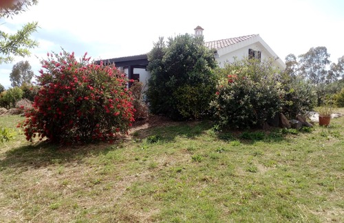 Orosei House | Nerelie House S big garden for playing, wi-fi free!IUN-P2044