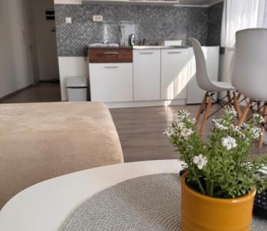 Veliko Gradiste Apartment | Nest apartman