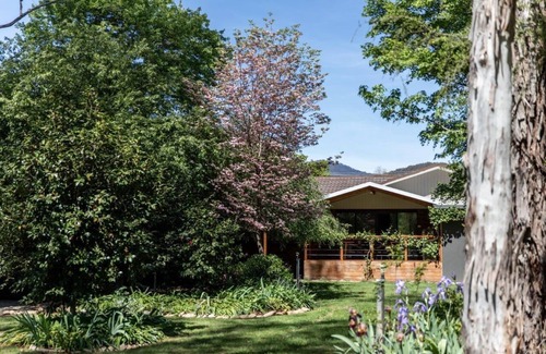 Bright House | Nest House - A picture speaks a thousand words.