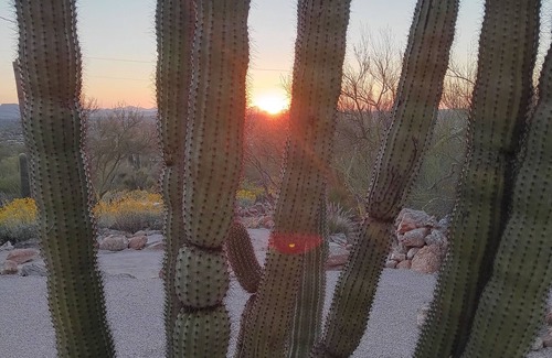 Oro Valley Cottage | Nestled on Pusch Ridge Mountain in Oro Valley with full kitchen