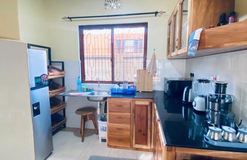 Manyoni Apartment | NestOfKilimanjaro