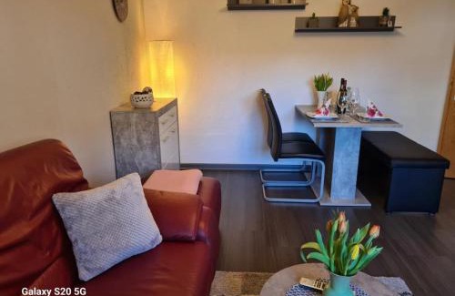 Staudernheim Apartment | NEU! Ferienwohnung Eulennest