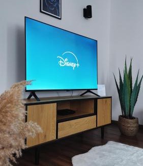 Glauchau Apartment | Neu! FeWo Glauchau am Schloss Wlan Netflix Disney