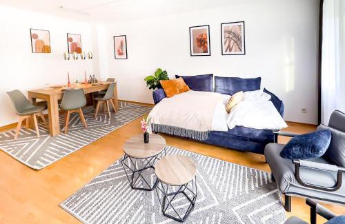 Innenstadt - Sankt Ulrich-Dom Apartment | NEU - Zentrum, 3 Zi, free Tiefgarage, smart TV, WLAN