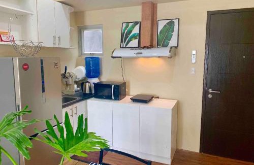 Cagayan de Oro Apartment | *NEW* 2-Bedroom PENTHOUSE Condo Unit Centrio Tower(beside Ayala Centrio Mall) Downtown CDOC