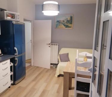 Icici Apartment | NEW Apartman Ziganto Z near the beach with terrace