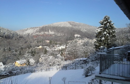 Neckargemuend Apartment | New apartment with great views near Heidelberg