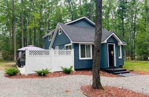 Higgins Lake Cabin | *New* Blue Haven Cabin on Higgins Lake