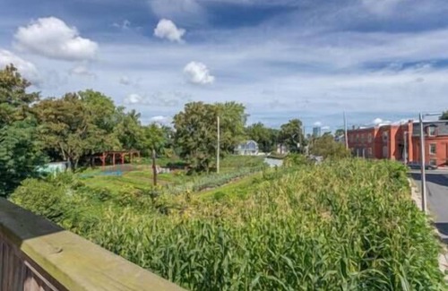 Dudley - Brunswick King Condo | NEW! Boston Condo Near MBTA, 3Mi to Fenway! (U1)