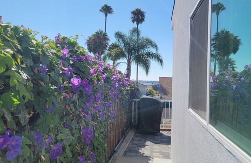 Bay Park Apartment | New, chic, large, safe, and convenient studio near the San Diego Bay w/AC, WiFi