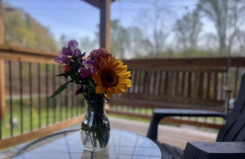 Damascus Cabin | NEW! COZY 4 Guest Cabin in Damascus! NO PET FEE!