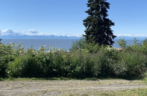 Clam Gulch Cabin | NEW Cute Cabin with Cook Inlet, ocean, Mt Redoubt View